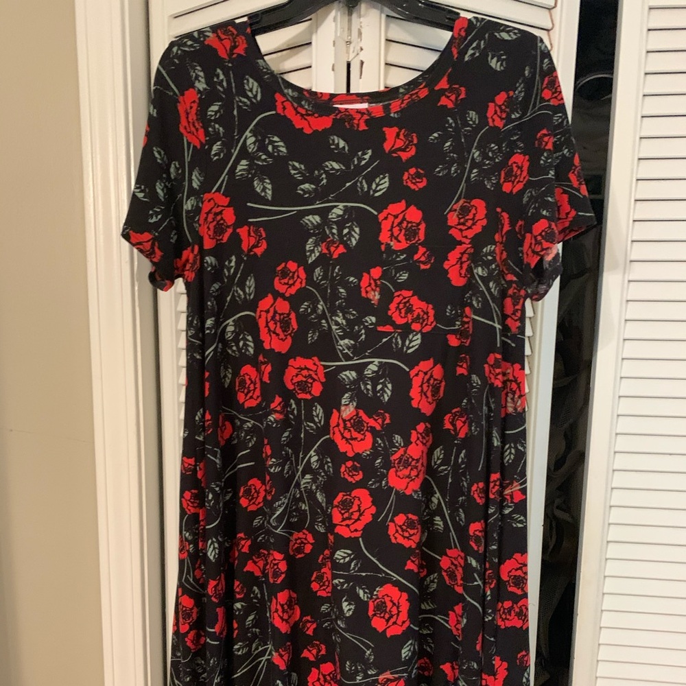 LuLaRoe Carly Dress **legging material**